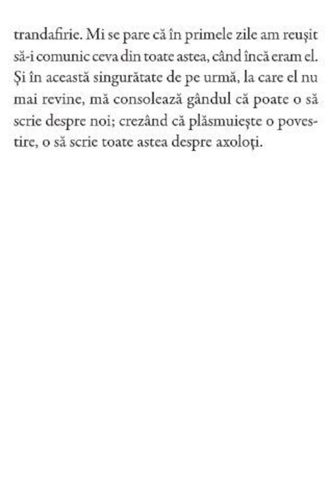 view15