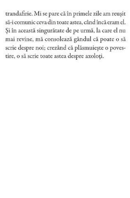 view15