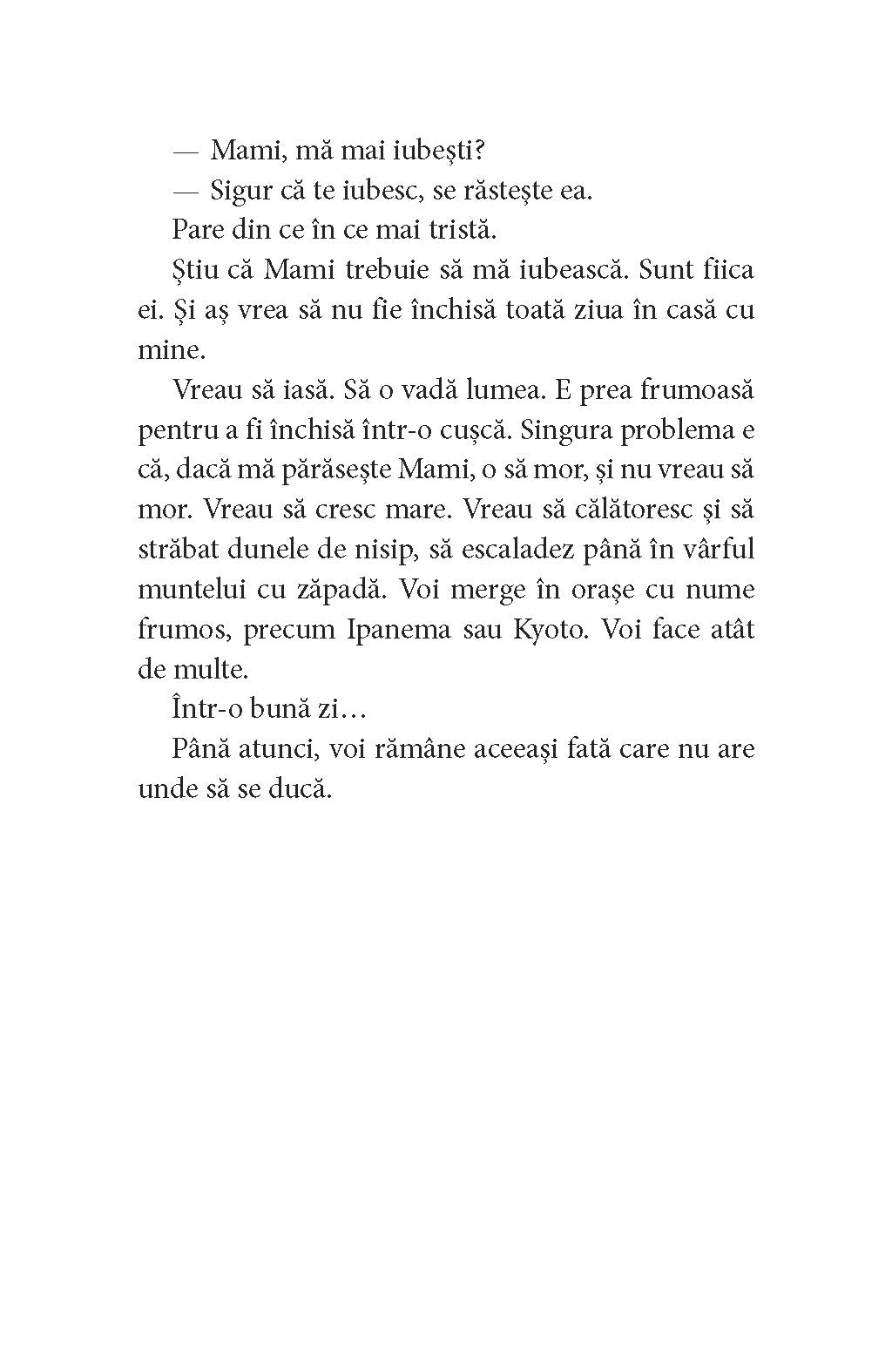 view11