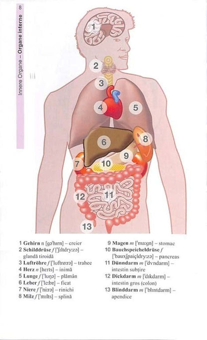 view9